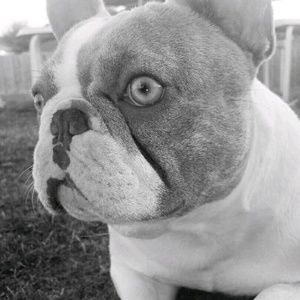 Meet your Posher, Veronica